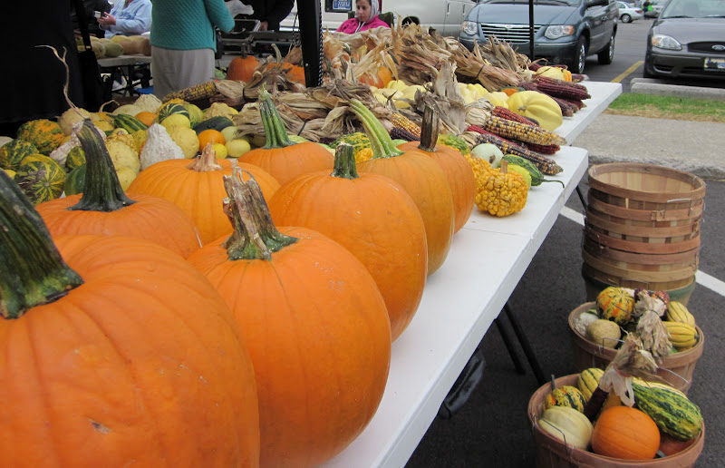 Arrows Sent Forth 4 Tips for Visiting Farmer's Markets with Kids