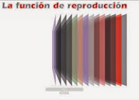http://catedu.es/chuegos/kono/sexto/t6/index.swf