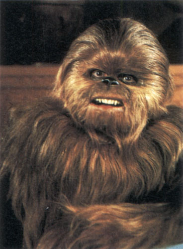 wookie.jpg