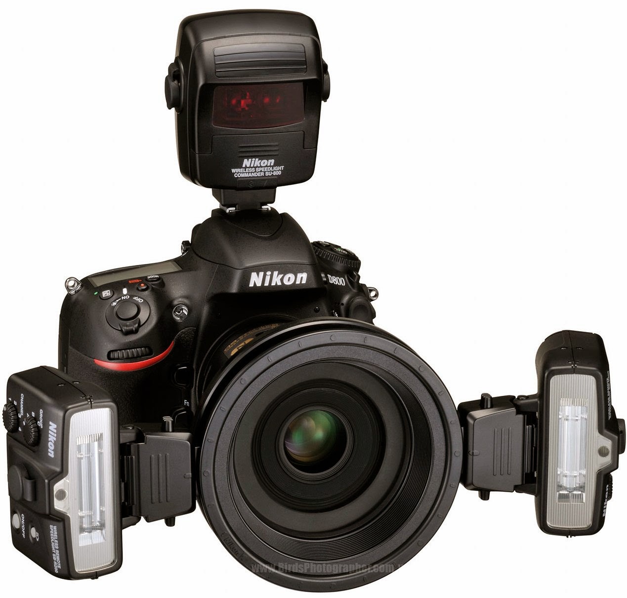 Lensa Nikon Dan Gambarnya semua tentang nikon lensa macro yang tajam dan terbaik Lensa Nikon Dan Gambarnya semua tentang nikon lensa macro yang tajam dan terbaik