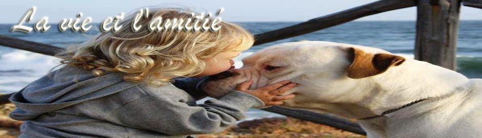 phrase rencontre amitie