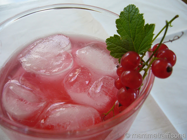 sciroppo di ribes rosso sciroppo di ribes rosso