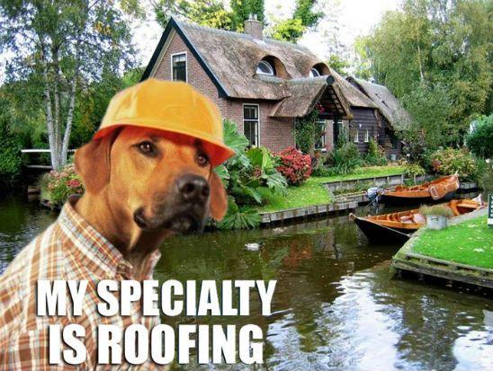 My speciality is roofing | Best of funny memes