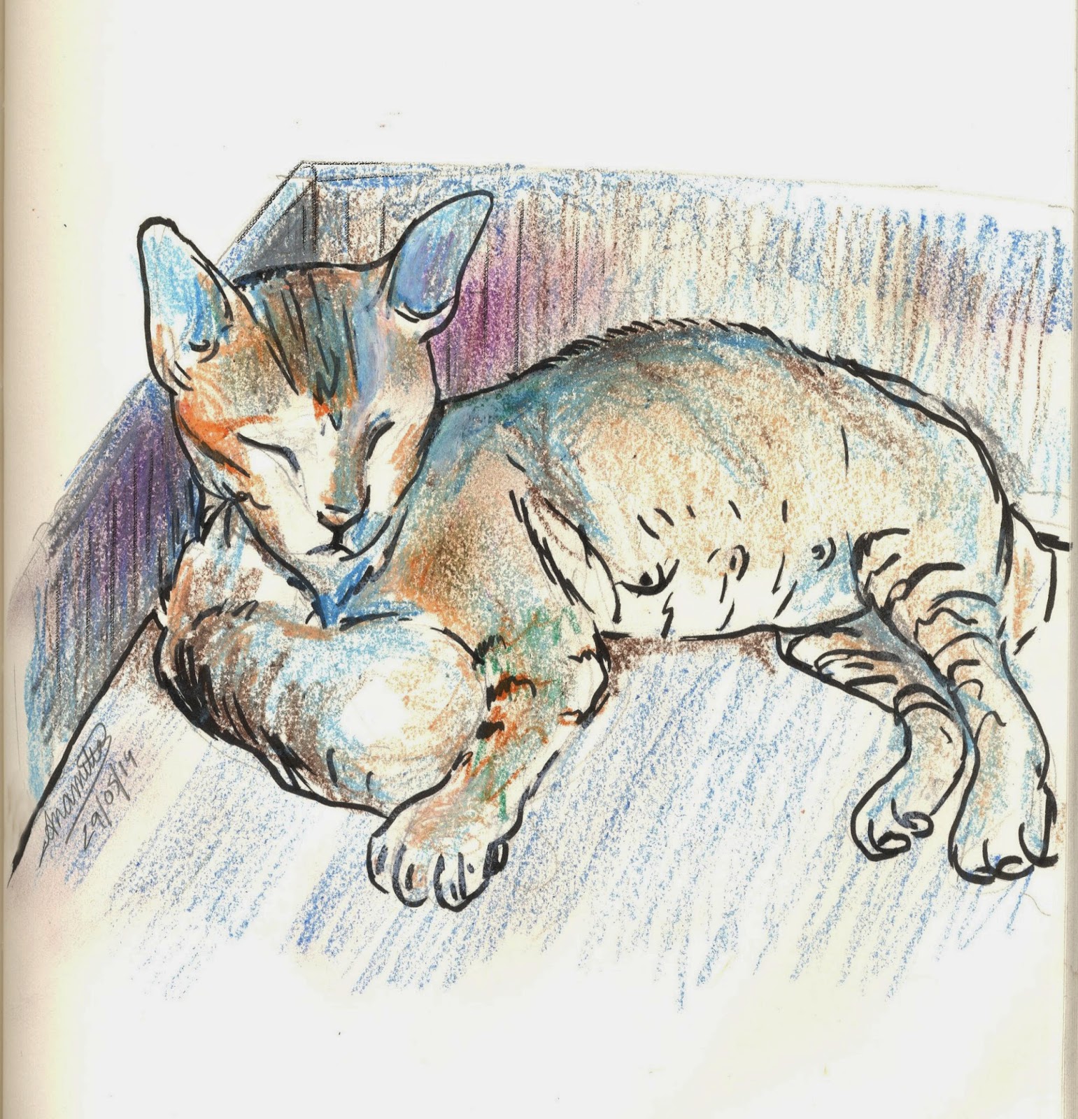 Cat Searching Bed Gif Cat Searching Bed Gif