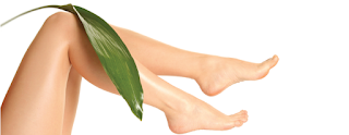 santa barbara waxing salon
