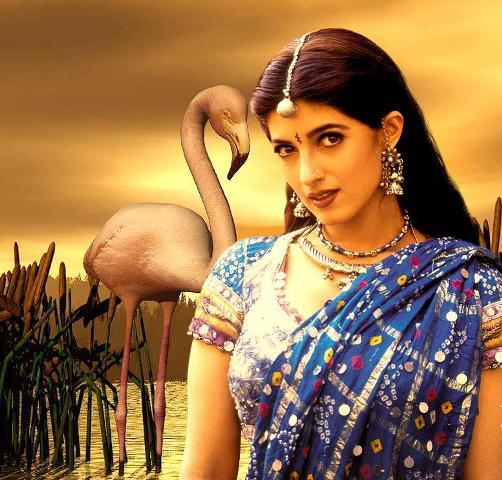 Twinkle Khanna HD Wallpaper Free Wallpapers Download Twinkle Khanna HD Wallpaper Free Wallpapers Download