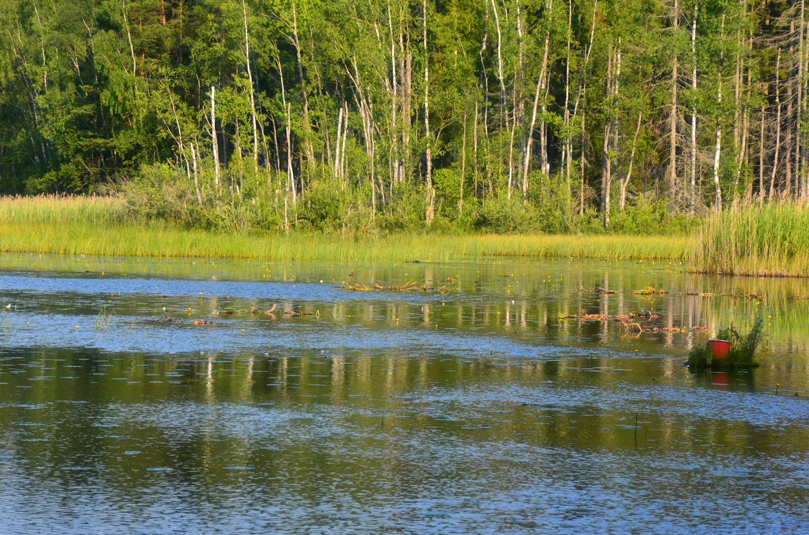 Sjö
