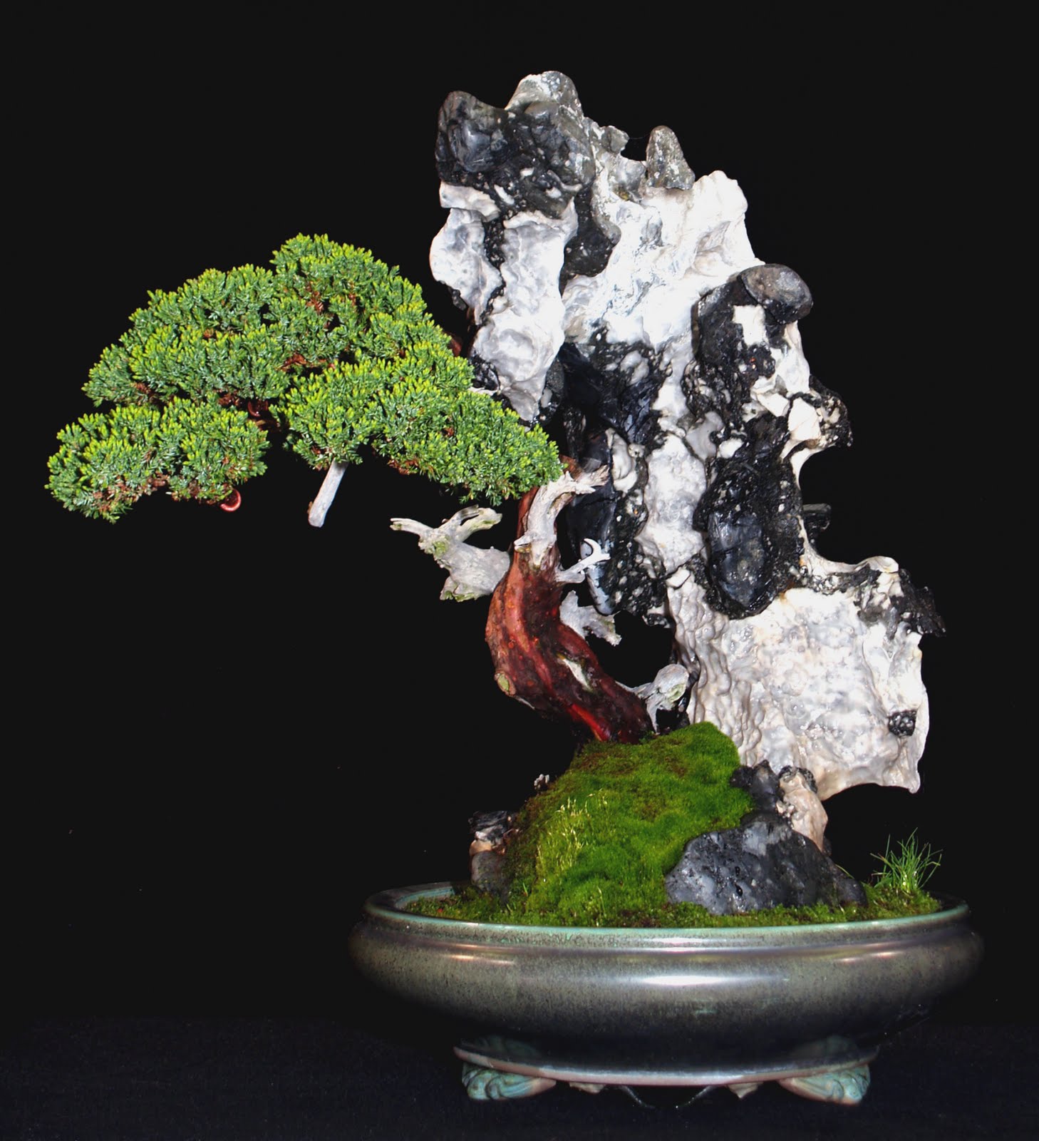 Debreceni Bonsai Club Saikei A Miniatr Tjpts Mvszete 2 Debreceni Bonsai Club Saikei A Miniatr Tjpts Mvszete 2
