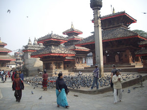 The pigeons in "Kathmandu Durbar Square Complex".
