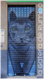 Este es el gato de la clínica...