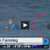 VIDEO:Dos tiburones atacan al tricampeón del mundo de surf Mick Fanning