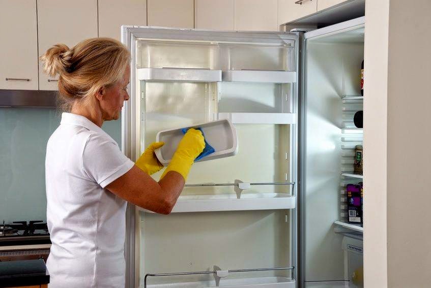 Spark Naturals Blog DIY Fridge Cleaner