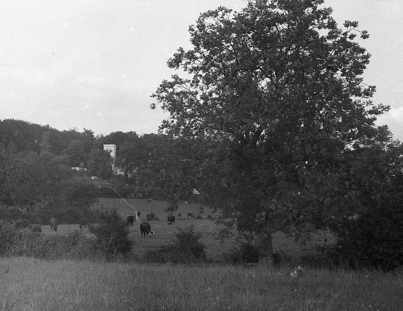 South Nutfield Free Church Memories