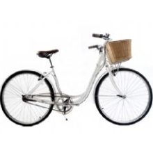 raleigh caprice basket