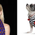 Ρούχα για σκύλους από την Gwen Stefani...