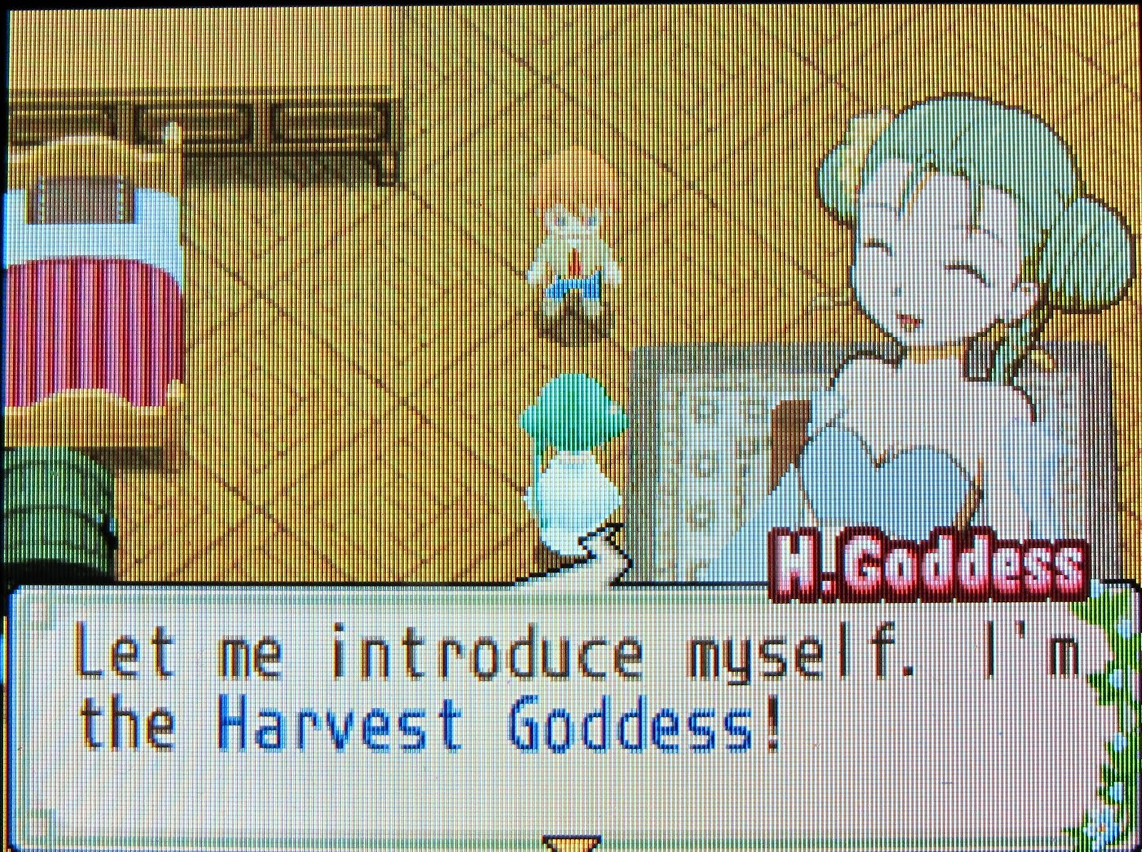 Harvest Moon Forever Tale of Two Towns Site