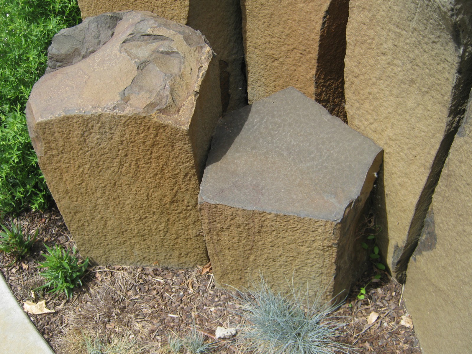 Ron's Primitive Skills My morning in Boise, Idaho