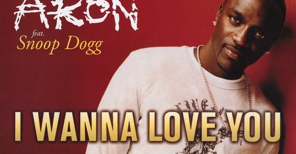 SALENEW大人気! Akon feat. snoop dogg I WANNA LOVE YOU