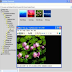 IrfanView 4.38 Download Free Software