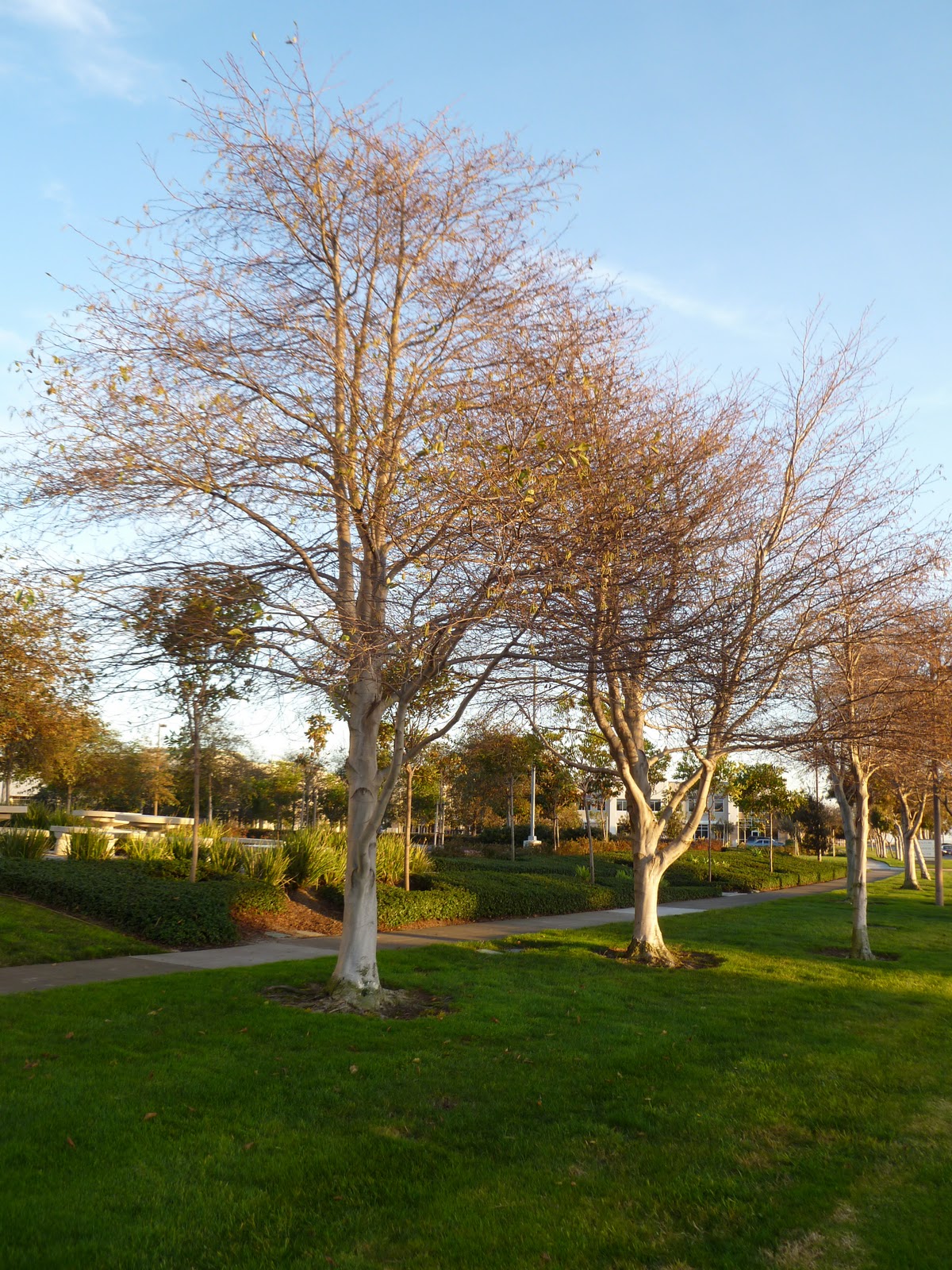 By A Thread EXPERIENCING THE NATURAL WORLD