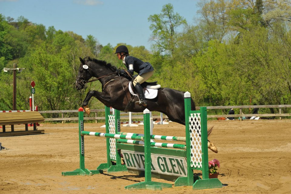 Redbud Farm Equestrian Working Student Position