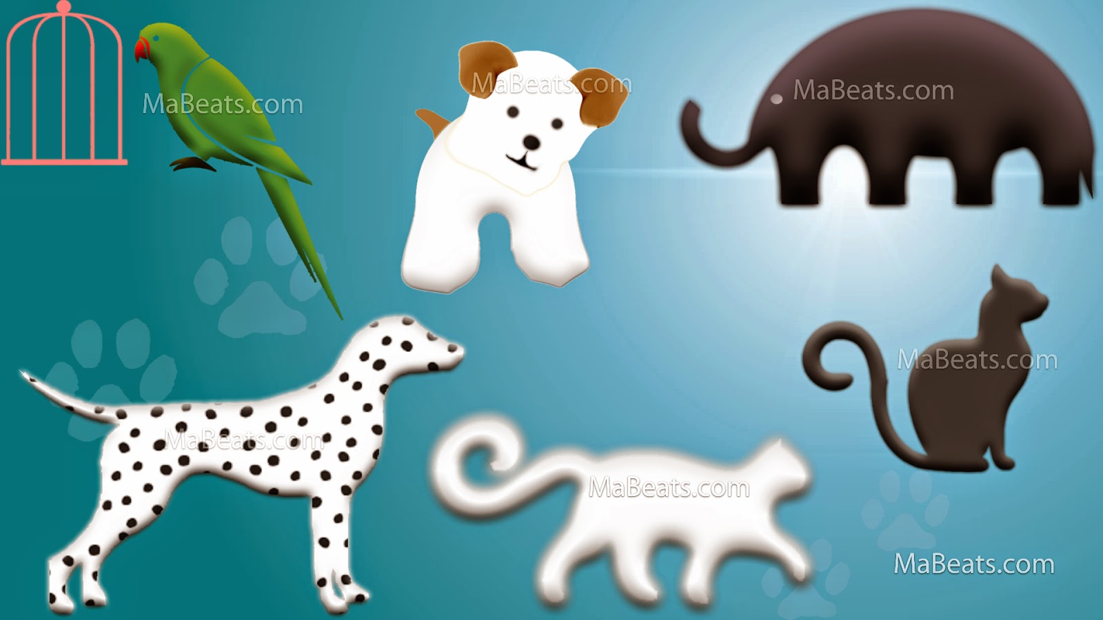 Survival of the smartest - Being pet Survival of the smartest - Being pet, pet background, cat, dog,Parrot, elephant, dalmatian,