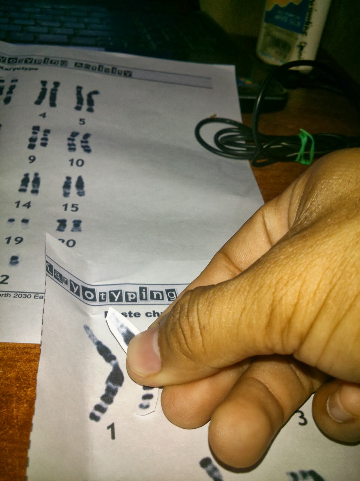 Activities in ICT: Karyotyping Activity
