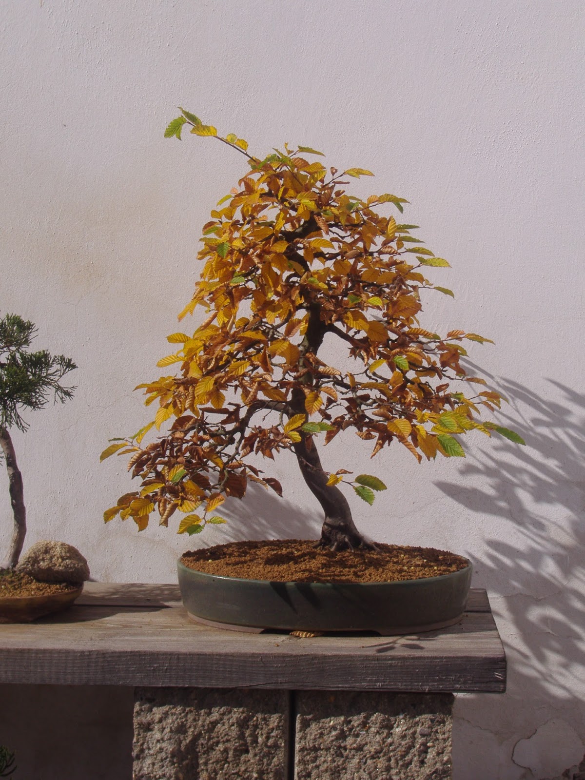 Elegan podzim 2010