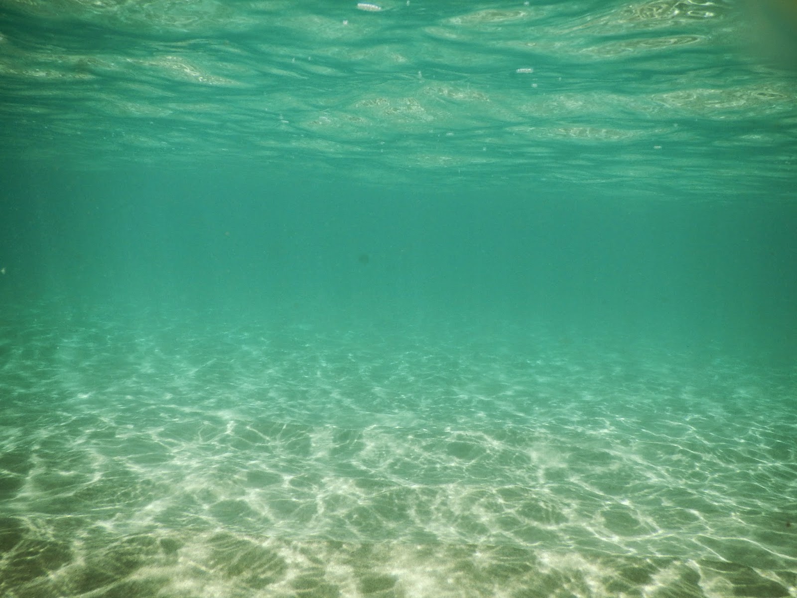 Autumn Hue Photography Kauai