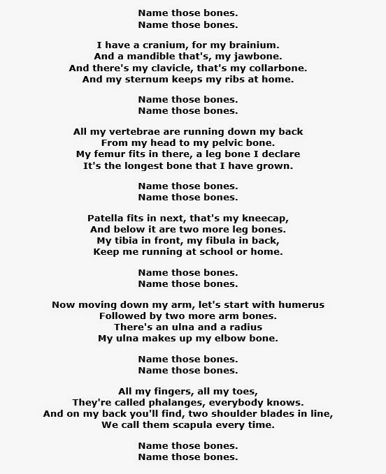 Ready, steady...learn! Song Name those bones