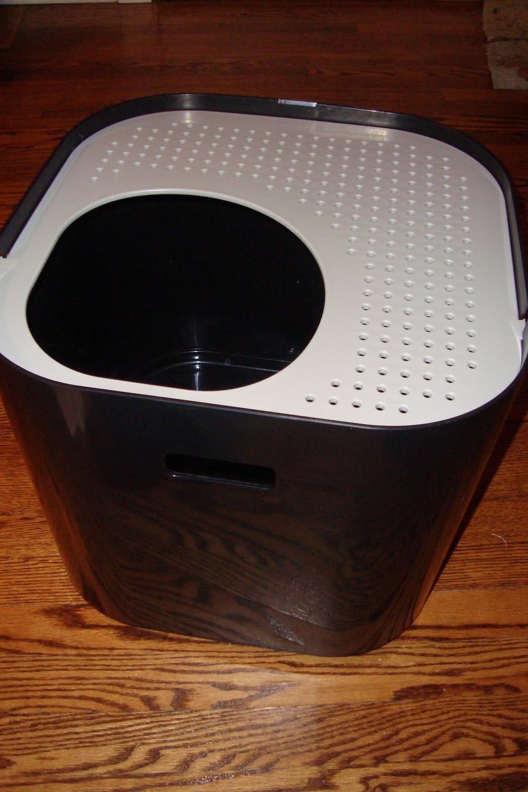 Trying To Go Green ModKat litterbox Review