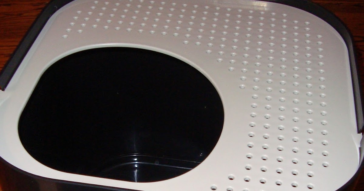 Trying To Go Green ModKat litterbox Review