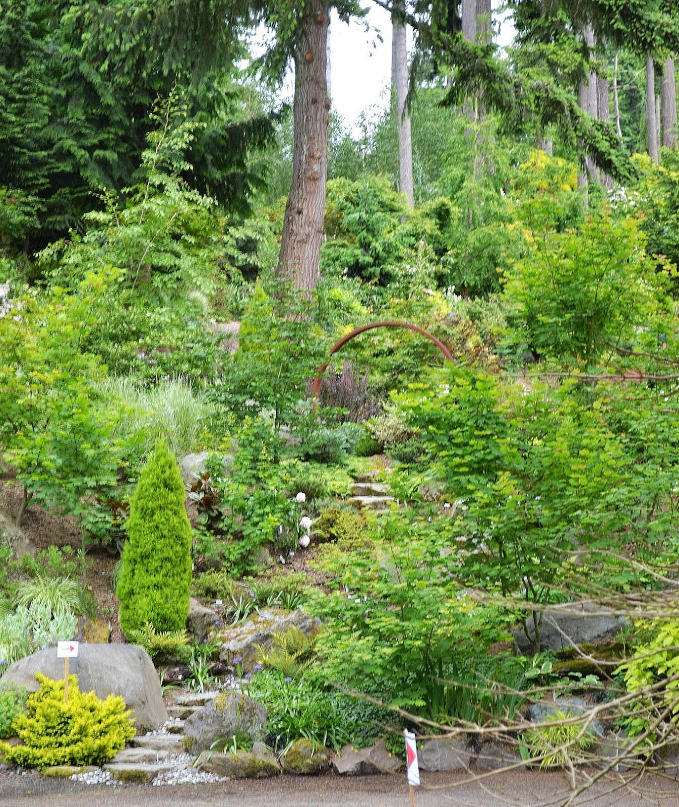 The Outlaw Gardener Vashon Island NPA Garden Tour part Five The