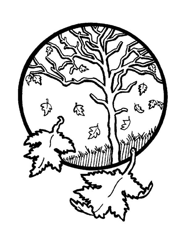 Menta Más Chocolate - RECURSOS y ACTIVIDADES PARA EDUCACIÓN INFANTIL