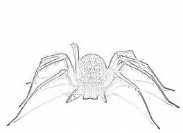 Giant Coloring Pages Giant Coloring Pages