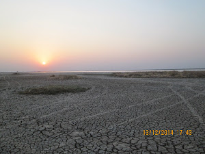 Sunset in Little Rann of Kutch