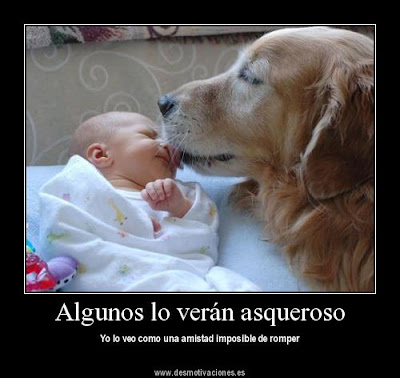 desmotivaciones facebook chistosas, chistosas facebook desmotivaciones
