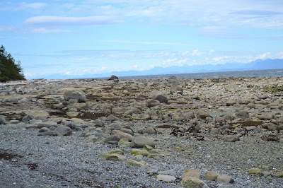 Hornby Island
