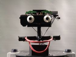Il robot Erwin mentre sorride