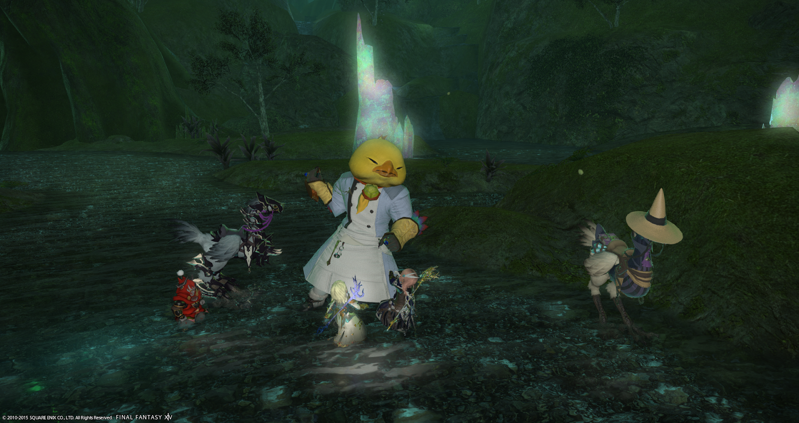 A Tank and a Healer. Fat chocobo head