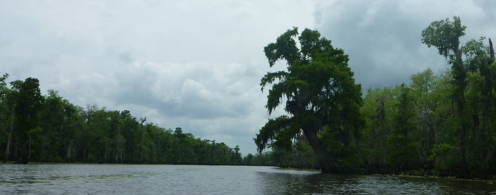 Southeastern Louisiana Paddling Paddling Blind RiverTwo Options
