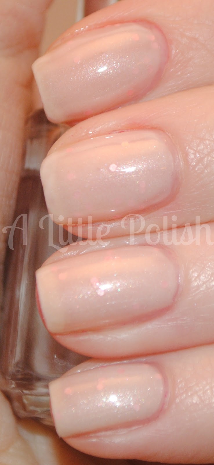 A Little Polish Pretty & Polished Mannequin Hands & King of CCCool