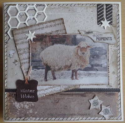 Winnaar kant en k(l)aartjes