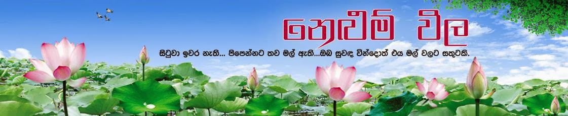 .නෙළුම්විල 