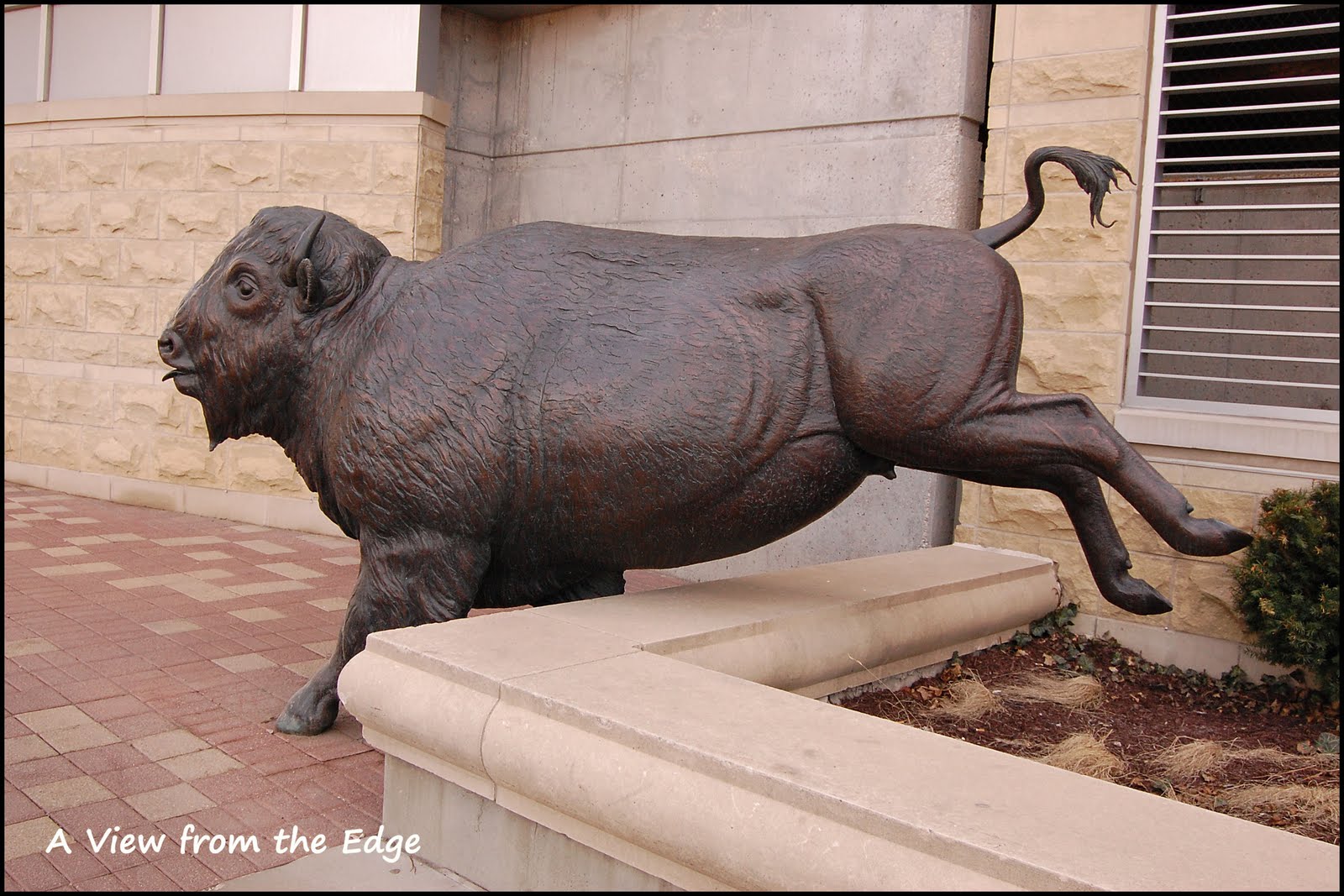 A View from the Edge Omaha Sculpture Park