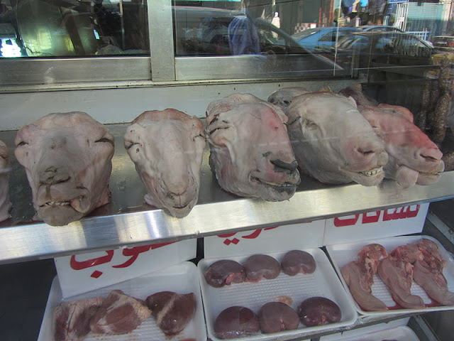 Skinned Goat
