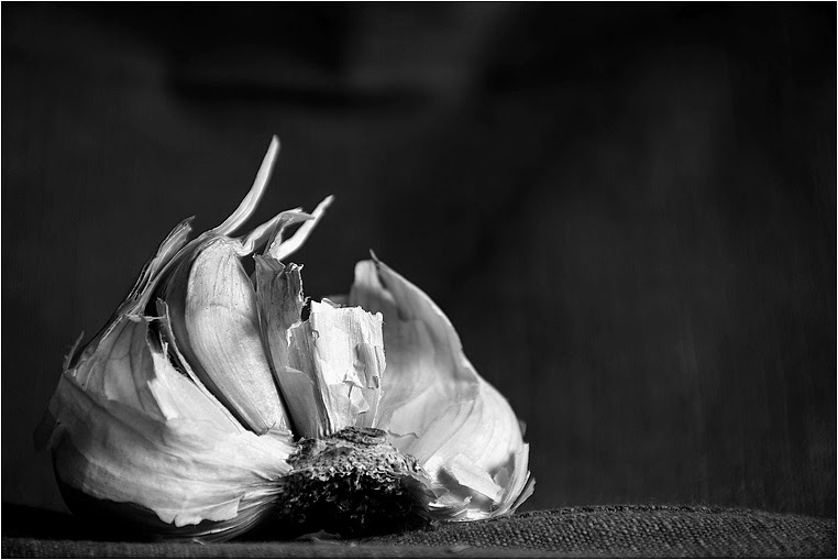 emerging photographers, Best Photo of the Day in Emphoka by Mr Photographe, https://flic.kr/p/qMdfvX emerging photographers, Best Photo of the Day in Emphoka by Mr Photographe, https://flic.kr/p/qMdfvX