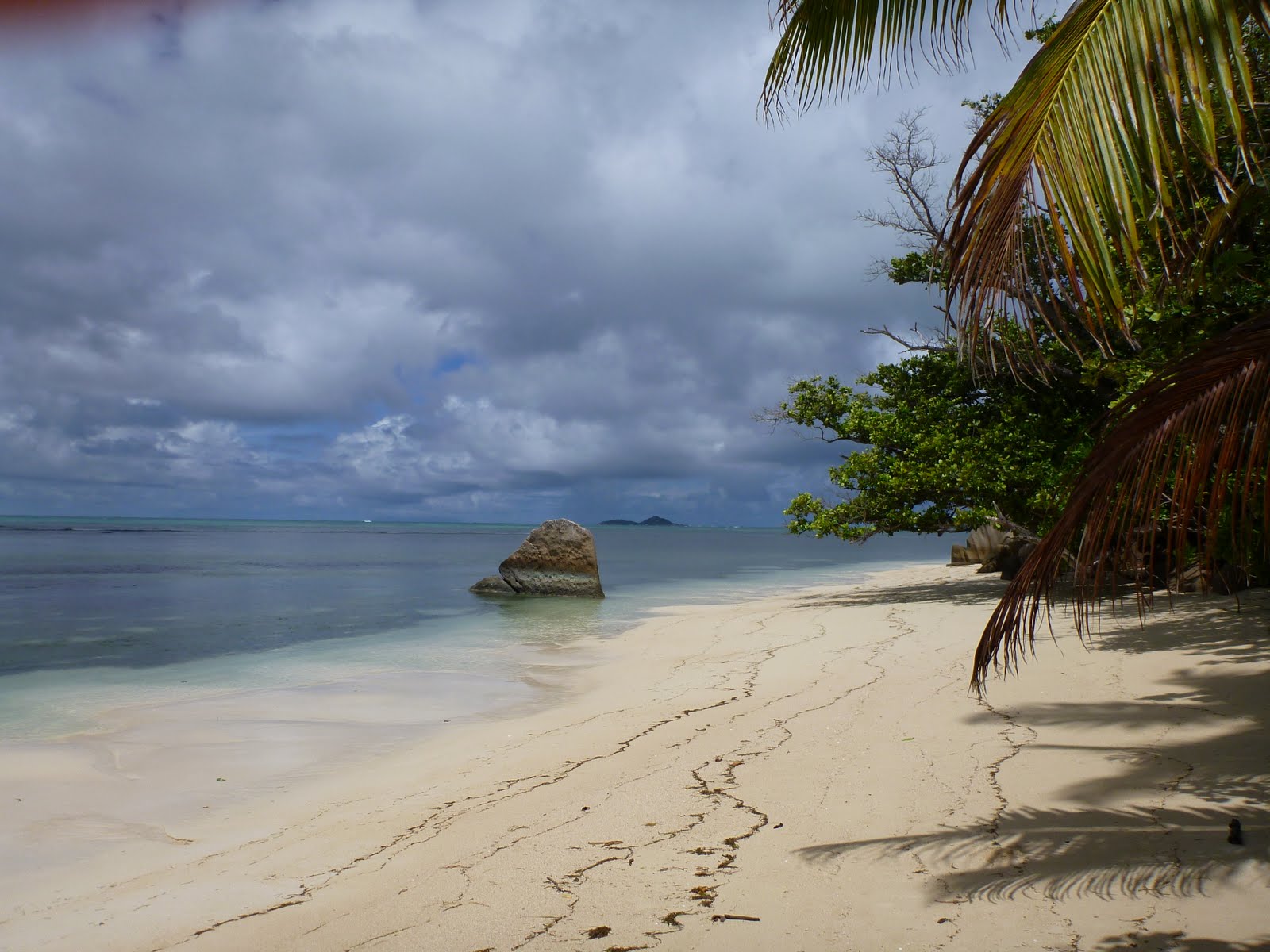 Jour 11 [Praslin] De Grand'Anse à Anse Volbert Plongée et farniente