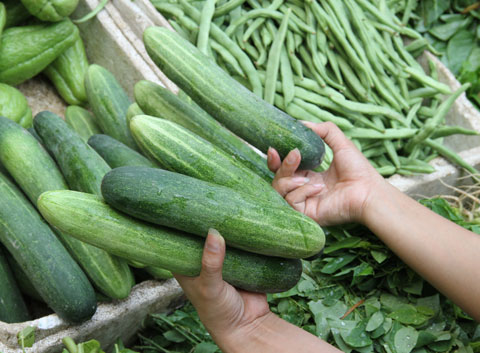 [Image: cach-tri-mun-bang-dua-chuot.jpg]