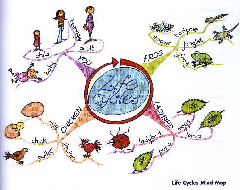 Life path 7 compatibility with 1 photo 2
